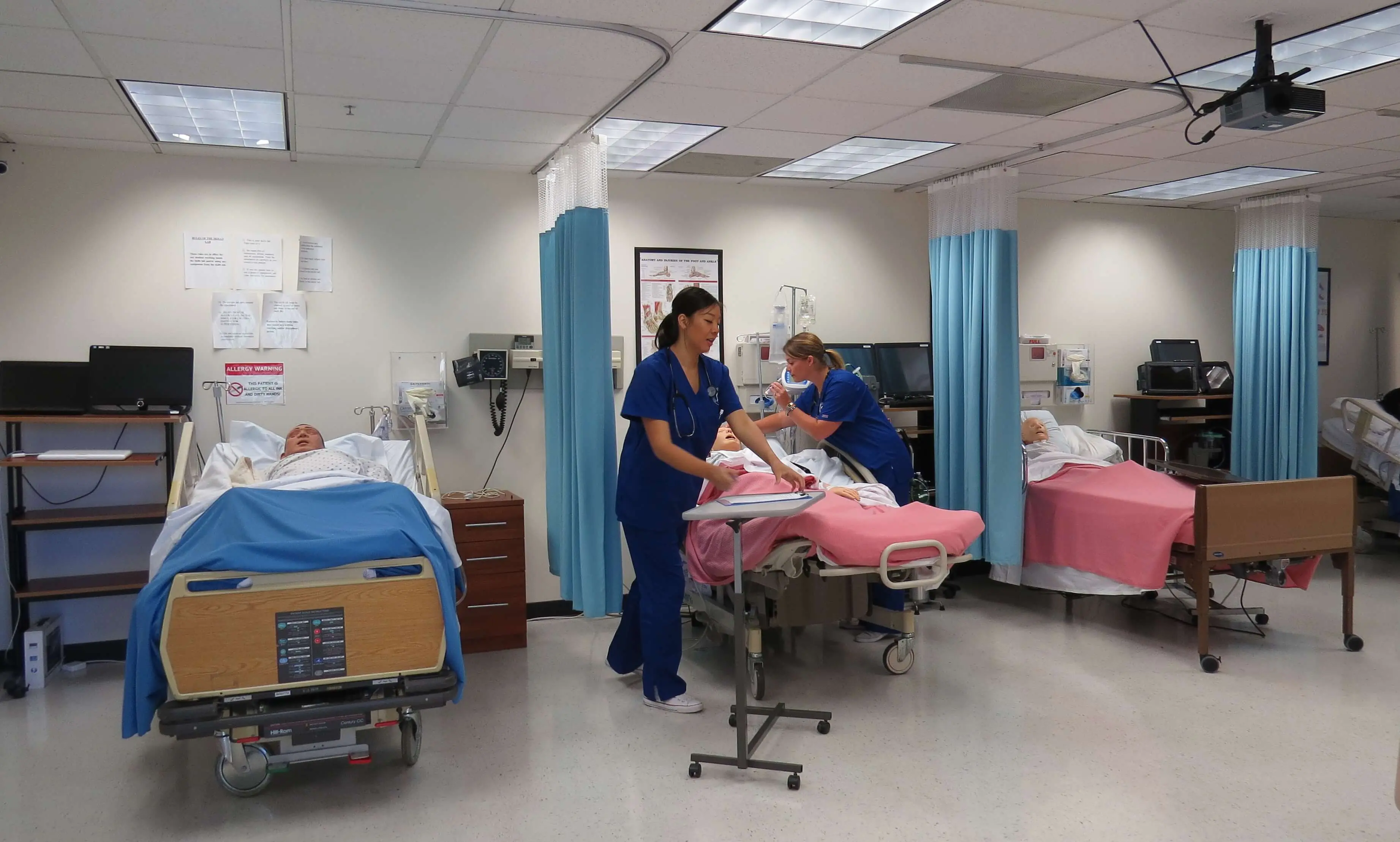 Growing Career Demands through VN (Vocational Nursing) Programs 2 Career Demands Make the VN Program an Excellent Choice for these LVN Students