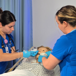 B.S. in Nursing (BSN) Icon
