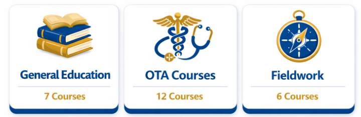 Three blocks - Gen Eds - OTA Courses - Fieldwork